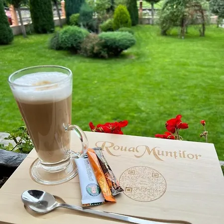 Pensiunea Roua Muntilor 4*