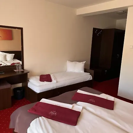Pensiunea Roua Muntilor 4* Vadu Crisului